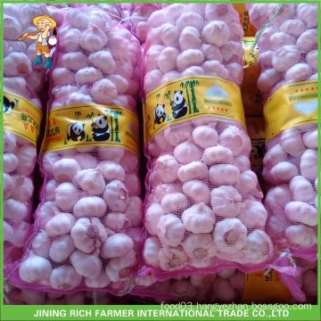 Fresh Style New Crop Fresh Garlic Size 5.0cm In 7kg/10kg/20kg Mesh Bag